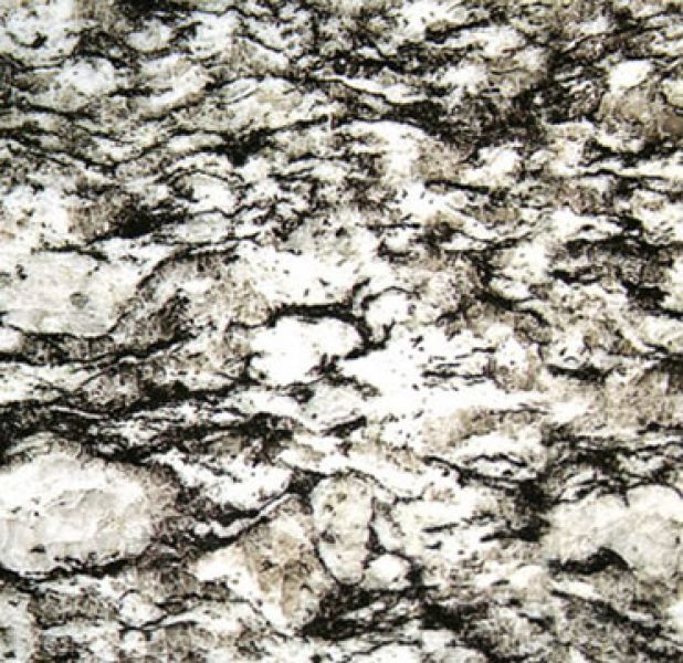 Acrylic Kitchen Countertop