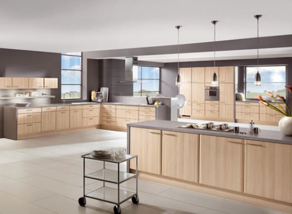 Ash Kitchen Cabinets