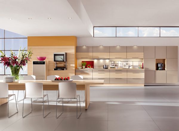 Ash Kitchen Cabinet