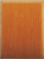 Mould Pressing Doors