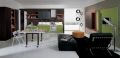 Fashion Kitchen Cabinets