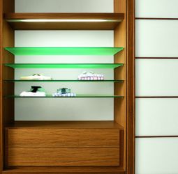 Growing Weed In a Closet
